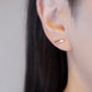 레즈