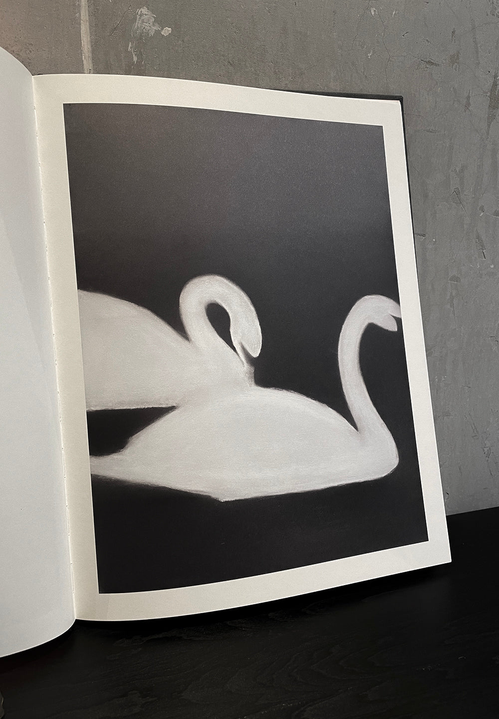 백조 | 마츠 구스타프손