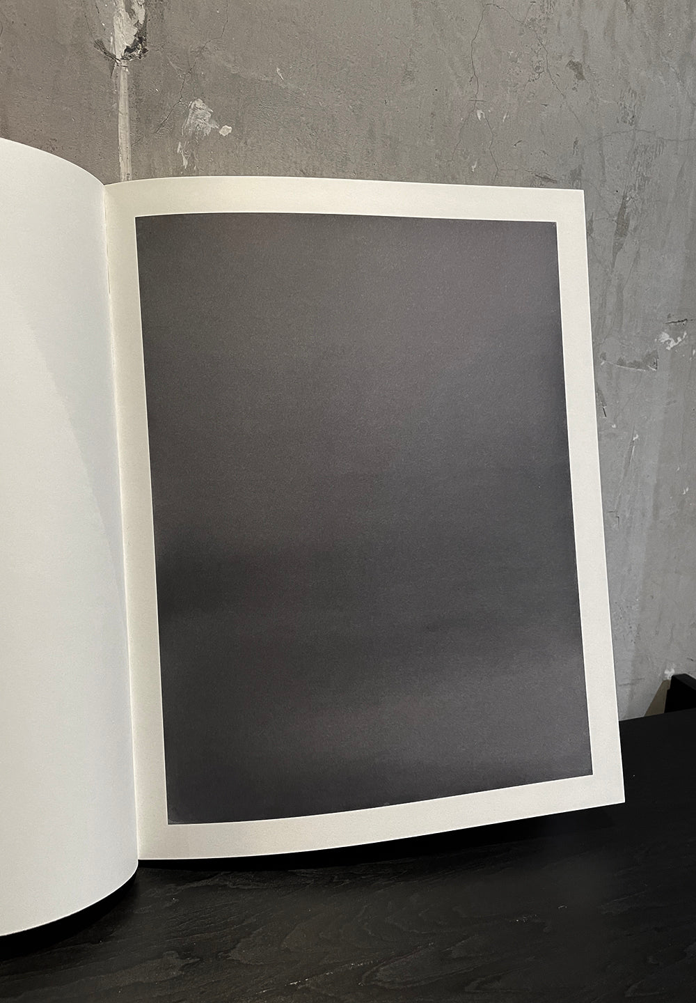 백조 | 마츠 구스타프손